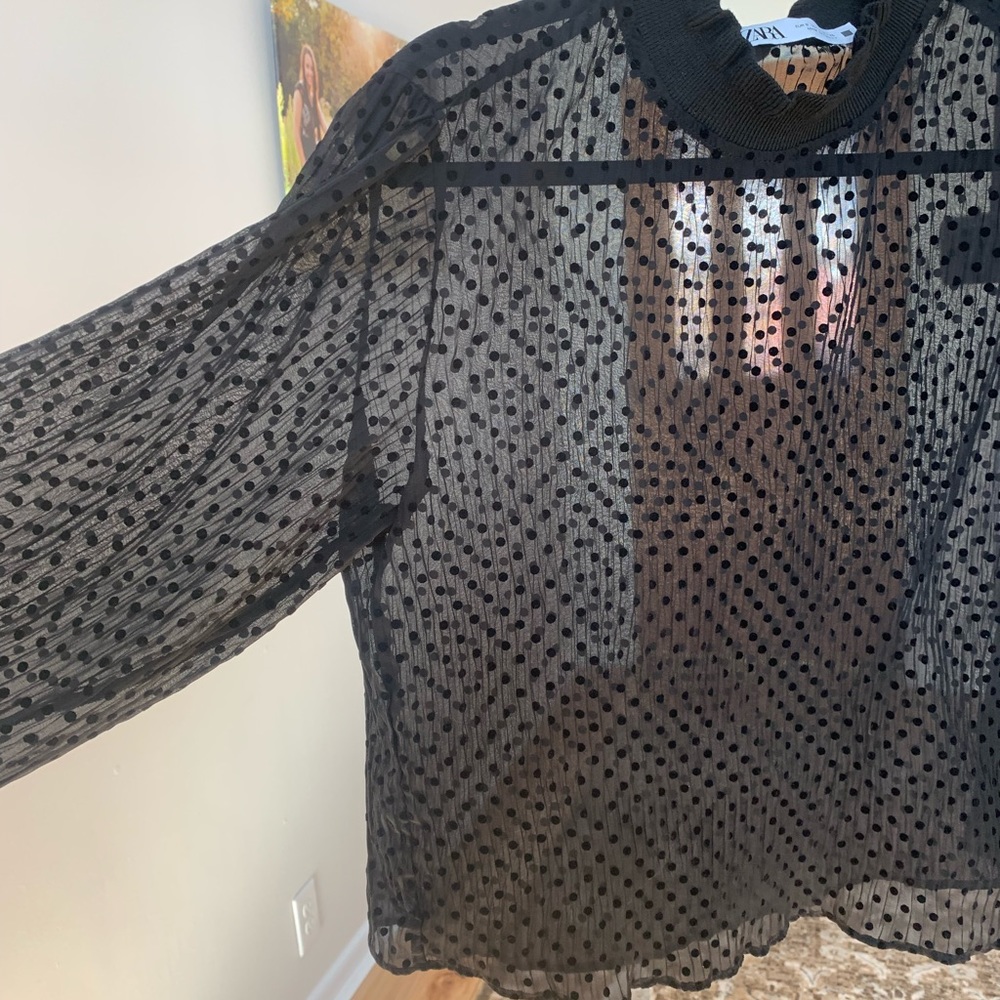 Zara Sheer Mock Neck Balloon Sleeve Top